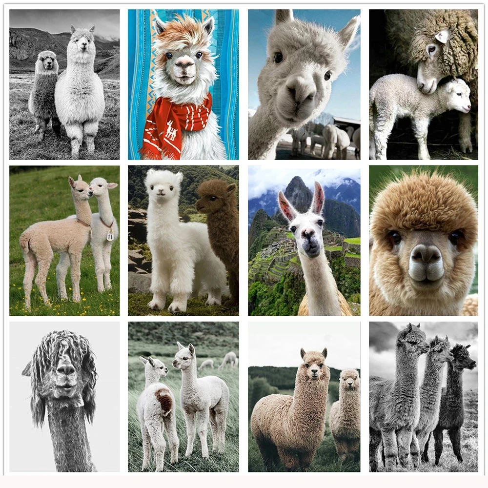 

Алмазная 5D картина «сделай сам», вышивка крестиком с милыми австралийскими животными, альпака, мозаика для украшения детской комнаты