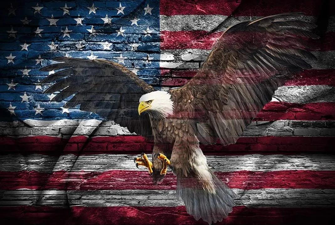 

JMINE Div 5D eagle american flag Full Diamond Painting cross stitch kits art High Quality Animal 3D paint by diamonds