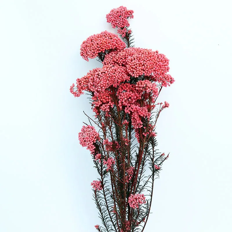 

Real Natural Dried Preserved Fresh Millet Flowers Bouquet Eternal Mini Fruits Branch For Christmas Wedding Home Decoration