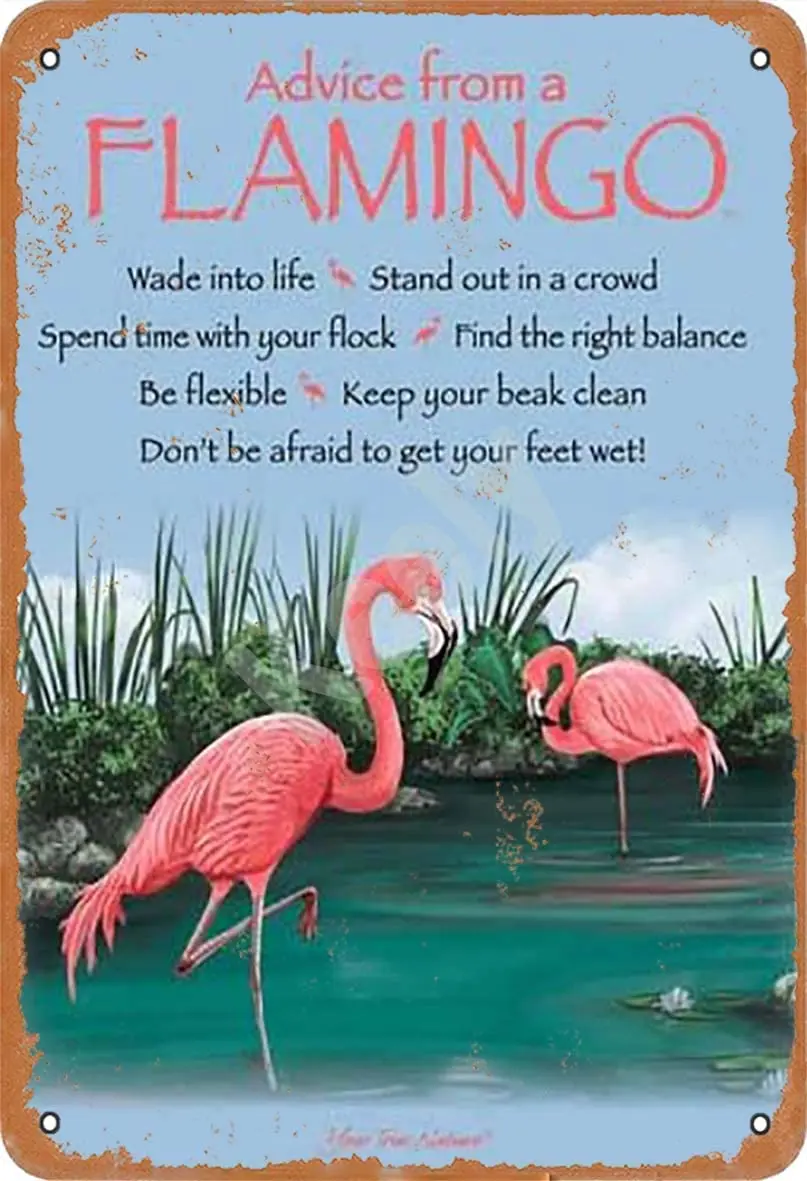 

Keely Advice from A Flamingo Metal Vintage Tin Sign Wall Decoration 12x8 inches for Cafe Coffee Bars Restaurants Pubs Man Cave