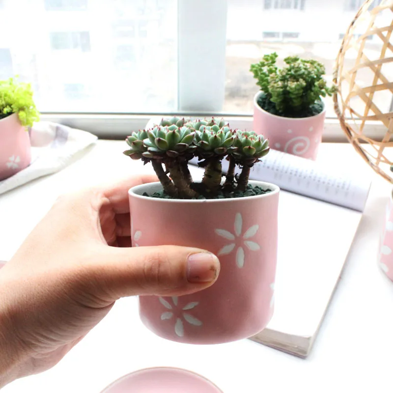 Розовая девушка сердце ручная роспись фототкань суккулент линии цветочный