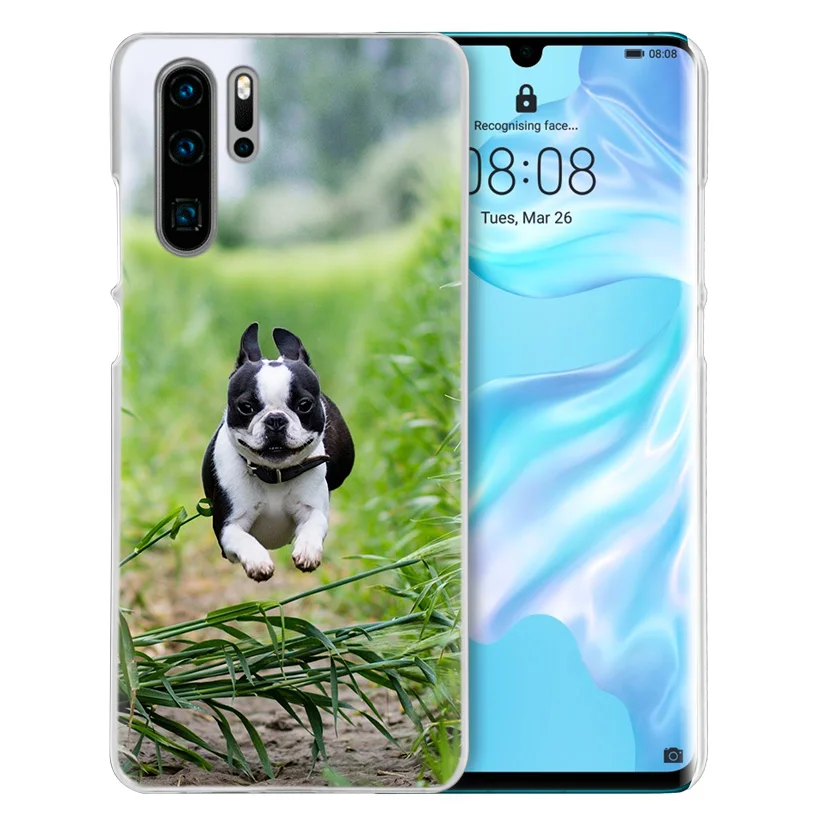 Французский бульдог чехол для huawei mate 30 20 10 P20 P30 Lite Pro P Smart Y9 Prime Honor 8A 8X 10i PC Чехлы для телефона