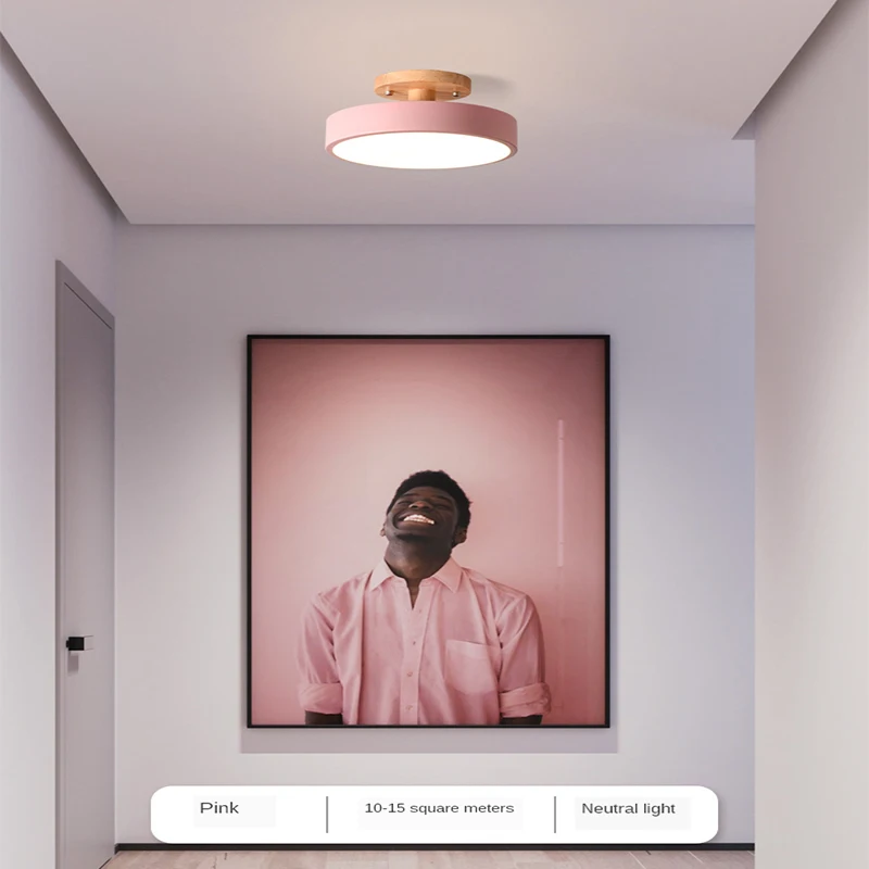 Lámpara LED de techo para dormitorio, candelabro de iluminación para restaurante, pasillo de la lámpara del techo, iluminación moderna