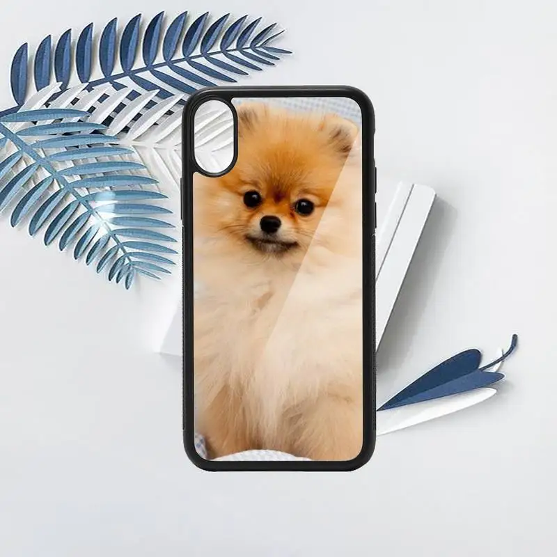 

Pomeranian dogs dog cute animal Phone Case PC for iPhone 11 12 pro XS MAX 8 7 6 6S Plus X 5S SE 2020 XR