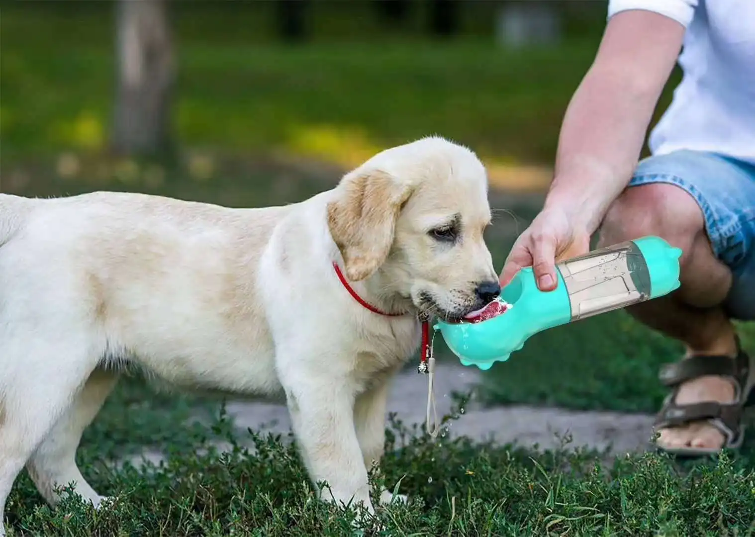 

Hot Sale Dog Travel Water Cup Drinker Shovel One Pet Supplies AT292