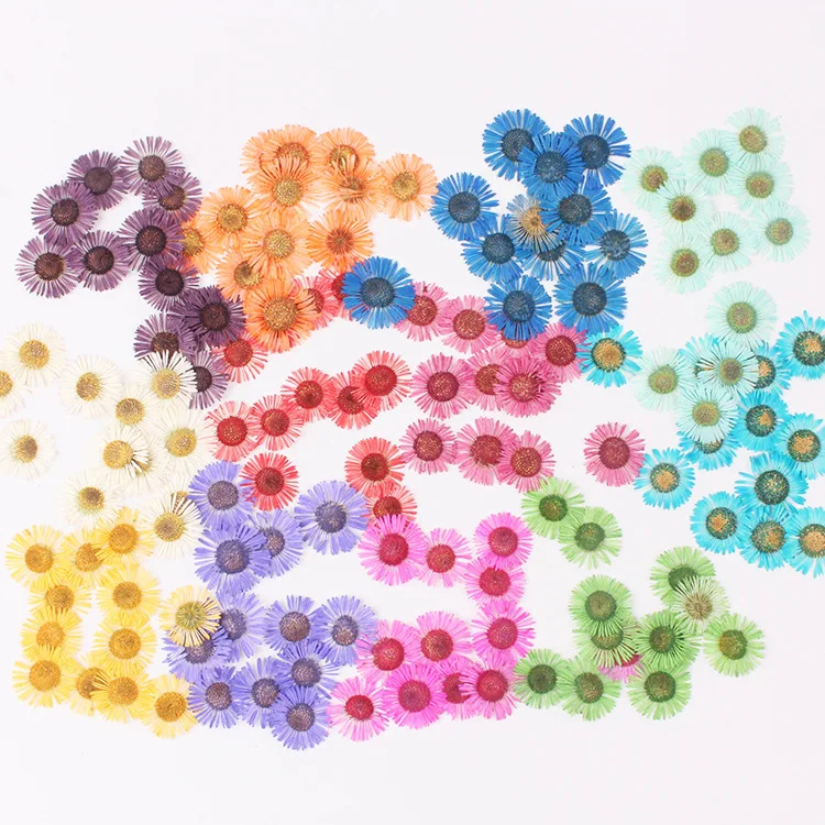 

120pcs Pressed Dried Conyza canadensis Filler Flower For Epoxy Resin Jewelry Making Postcard Frame Phone Case Craft DIY