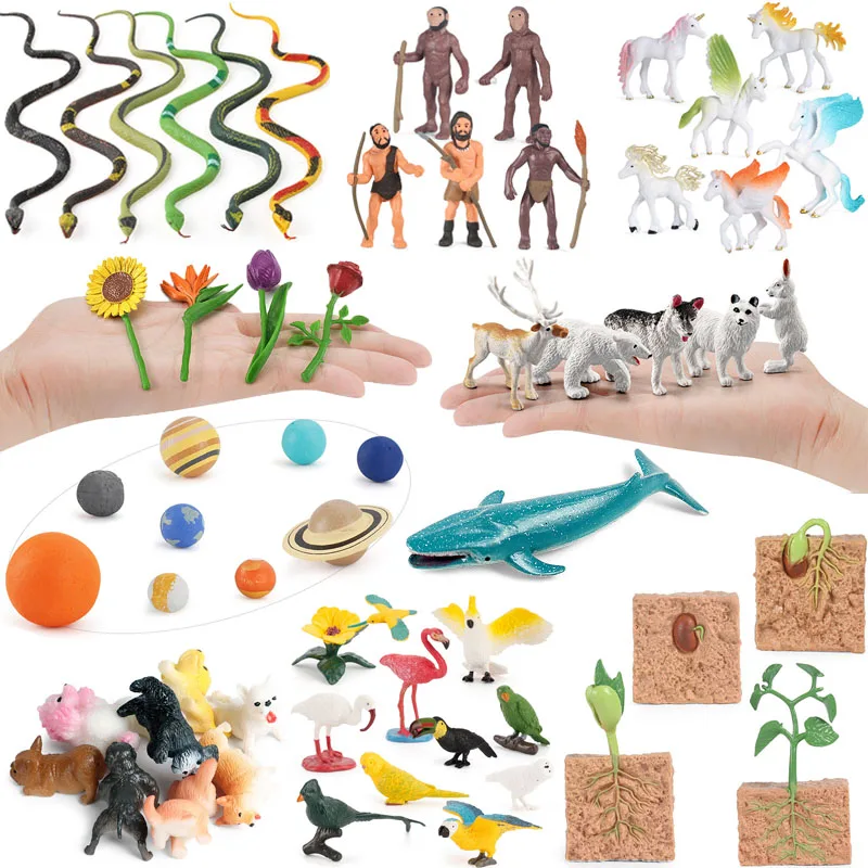 

New Simulation Animal Model Set Figurines Human Evolution Planet Plant PVC Action Toy Figure Kids Collection of Educational Toys