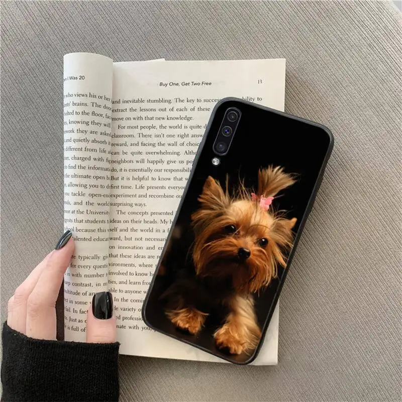 

Mini Yorkshire Terrier Dog cute animal Phone Case For Samsung S 9 10 20 A 10 21 30 31 40 50 51 71 s note 20 j 4 2018 plus