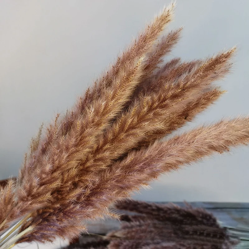 

15pcs Pampas Dried Flower Reed Grass Bunch Bouquet DIY Wedding Party Home Decoration Multicolor Flowers Accessories