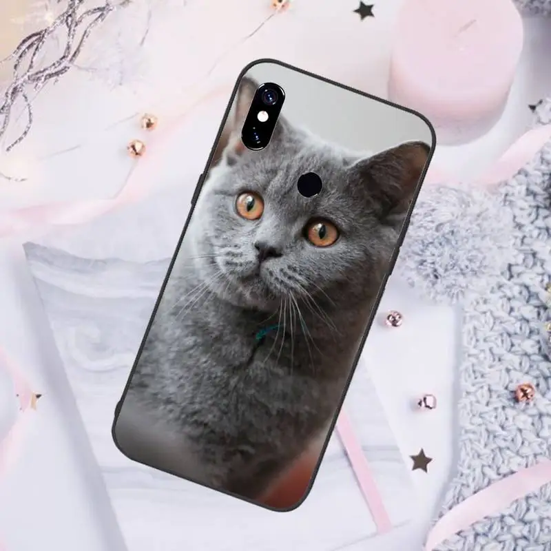 

British shorthair cat Phone Case For Xiaomi Redmi note 7 8 9 pro 8T 9S Mi Note 10 Lite pro