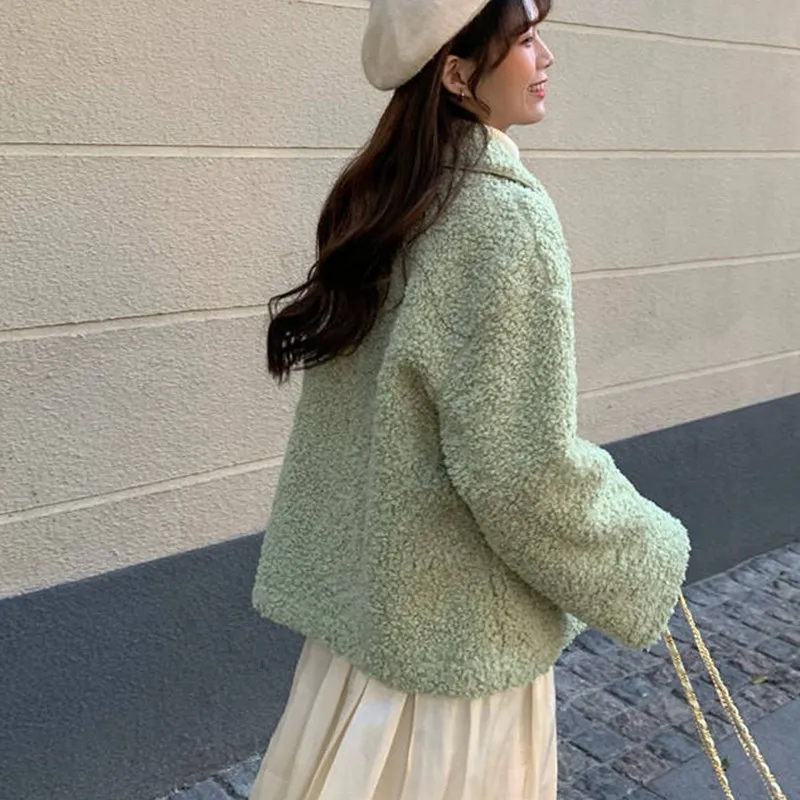 

Elegant Faux Fur Coat Women Autumn Winter Warm Soft Button Fur Jacket Female Plush Overcoat Pocket Casual Teddy Outerwear Hot