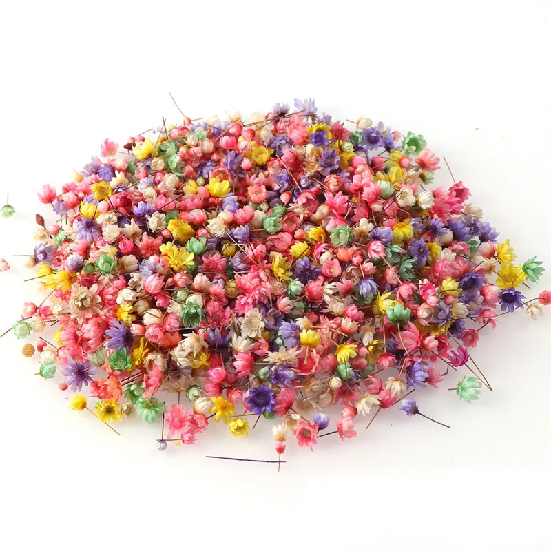 200 шт. настоящие сушеные цветы для рукоделия изготовление свечей из эпоксидной