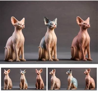 jxk 16 scale canadian hairless cat pet sphynx healing figure felidae animal collector toy resin desktop decoration gift