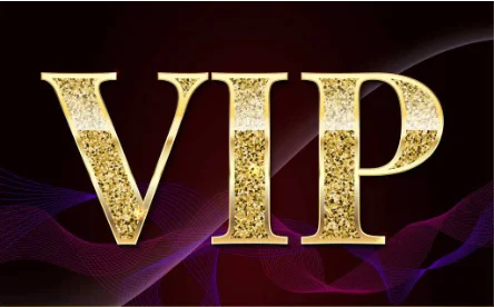 

VIPPlease contact customer service before purchasing this link, thank you!