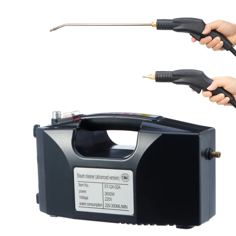 

3000W Portable Home Use car wash steam cleaning machine car steam cleaner for sale steam car washer