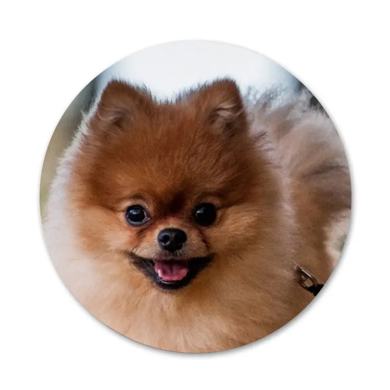 58 мм своего померанского шпица собаки значок на булавке декоративные Броши