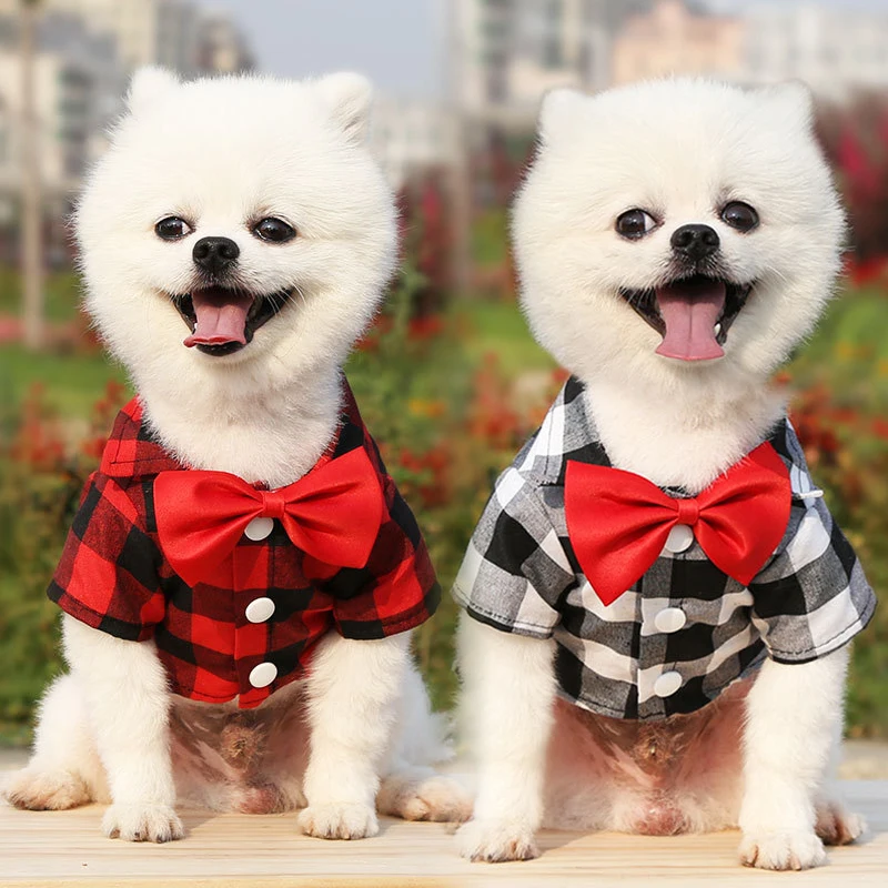 

Dog Plaid Shirt Suit Wedding Dress Than Teddy Bear Small Cuhk Dog Cat Pet Clothes Dog Clothing Designer Dog