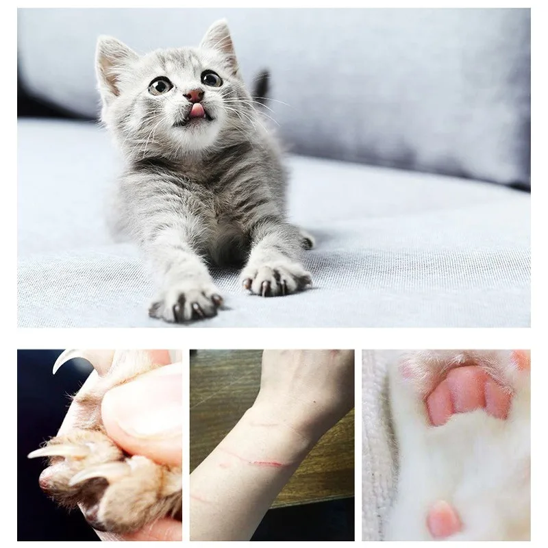 

Cat Toys Sisal Molar Pet Kitten Chew Play Durable Scratching Training Coloured Ribbon Volume Interactive Entertainment