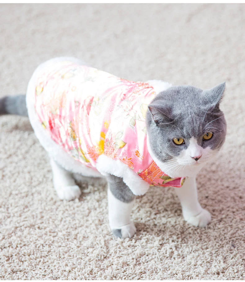 Детской одежды с симпатичными котятами зимние комнатные собачки Одежда для