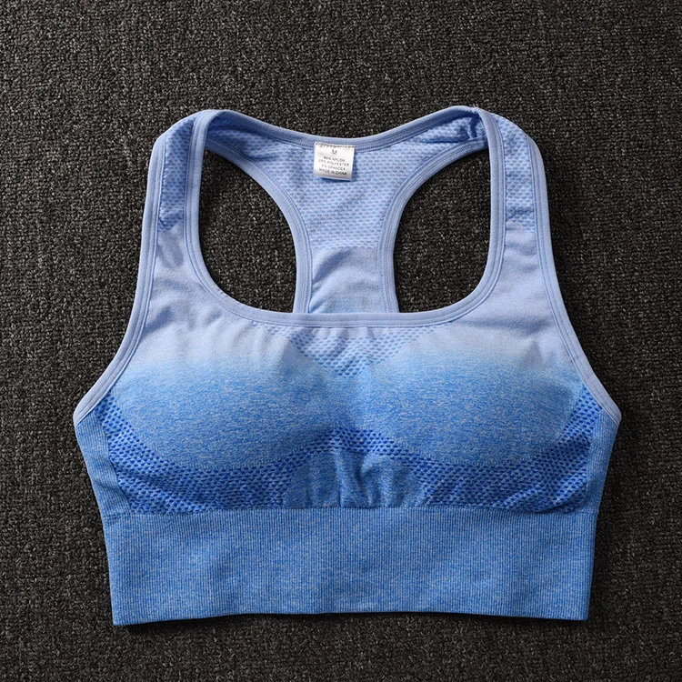 Blue Ombre Ombre бесшовный спортивный бюстгальтер со съемными подушечками, спортивный бюстгальтер для женщин, для бега, для фитнеса, майка, для активного ношения, бюстгальтеры для йоги - Цвет: Blue Ombre