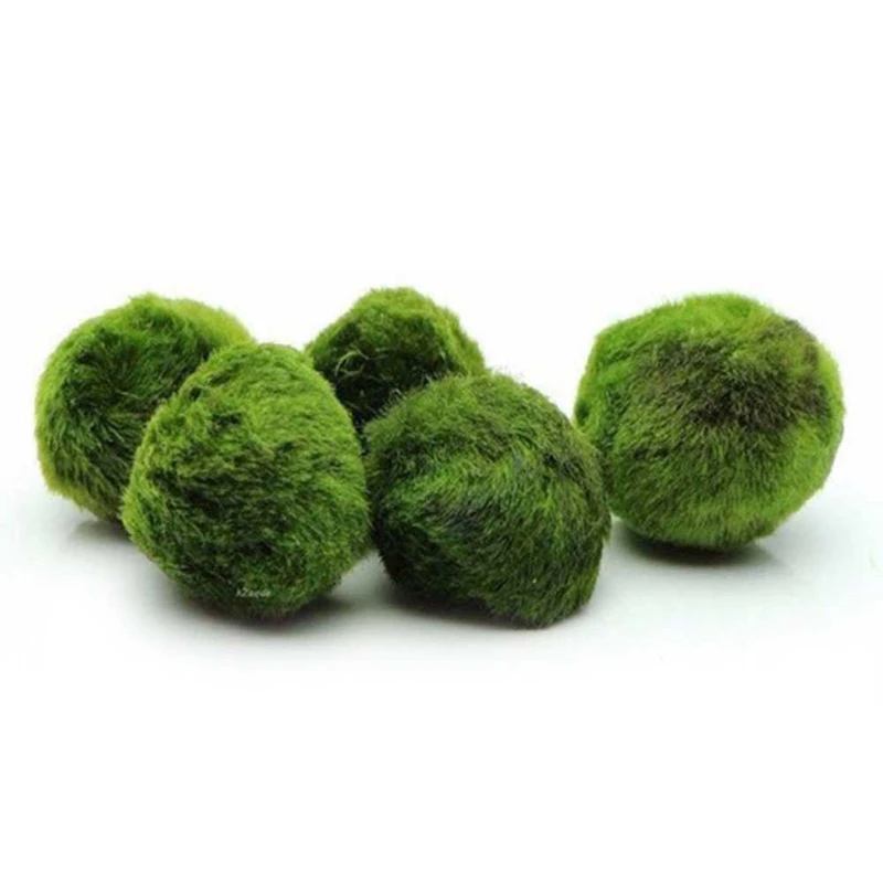 

Green Moss Plants Decorations Creative Home Garden Lawn Floor Adornments Home Supplies Environmental Green Seaweed Ball