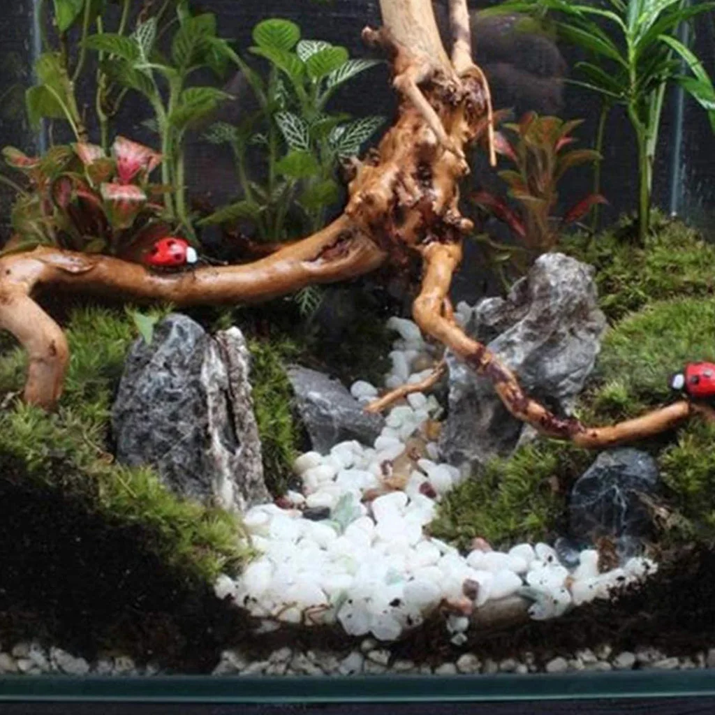 Деревянное украшение для аквариума 4 размера | Дом и сад