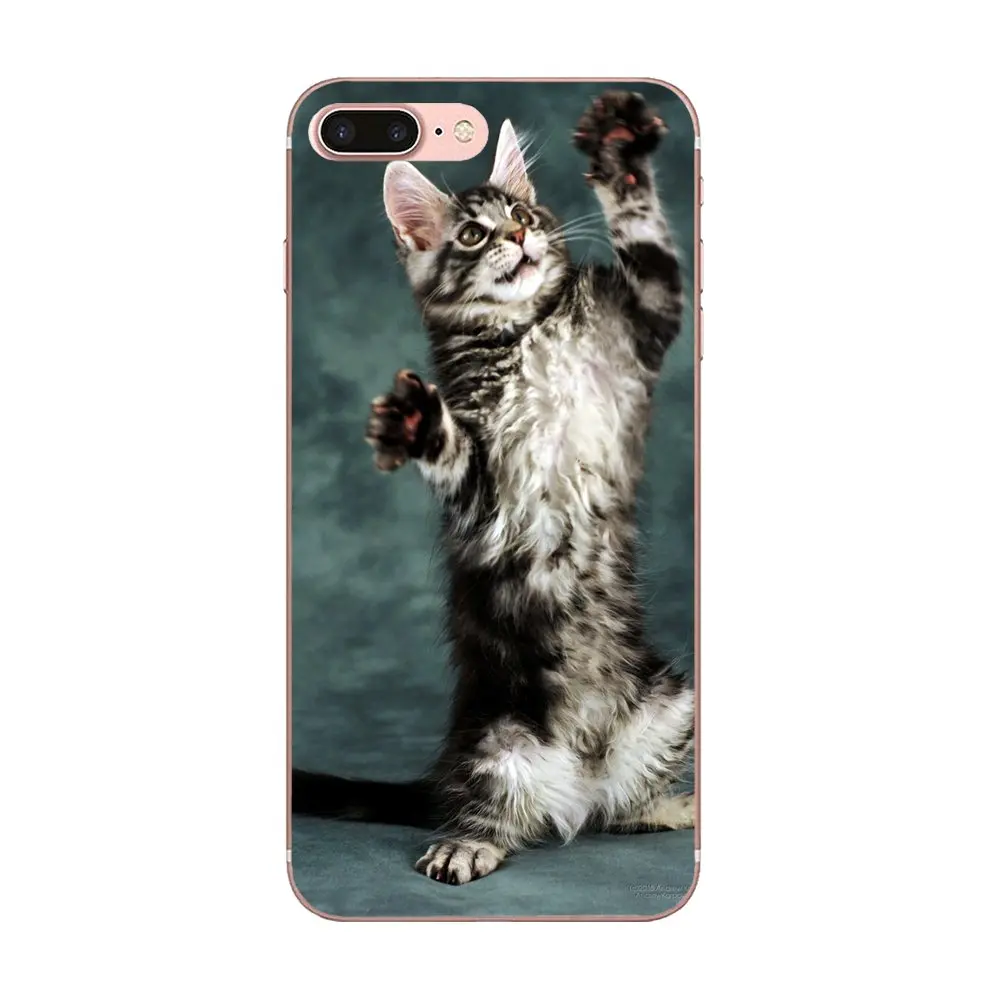 Pet с Мейн куном серебра роскошный Вертикальный чехол для телефона Xiaomi Redmi Mi 4 7A 9T K20