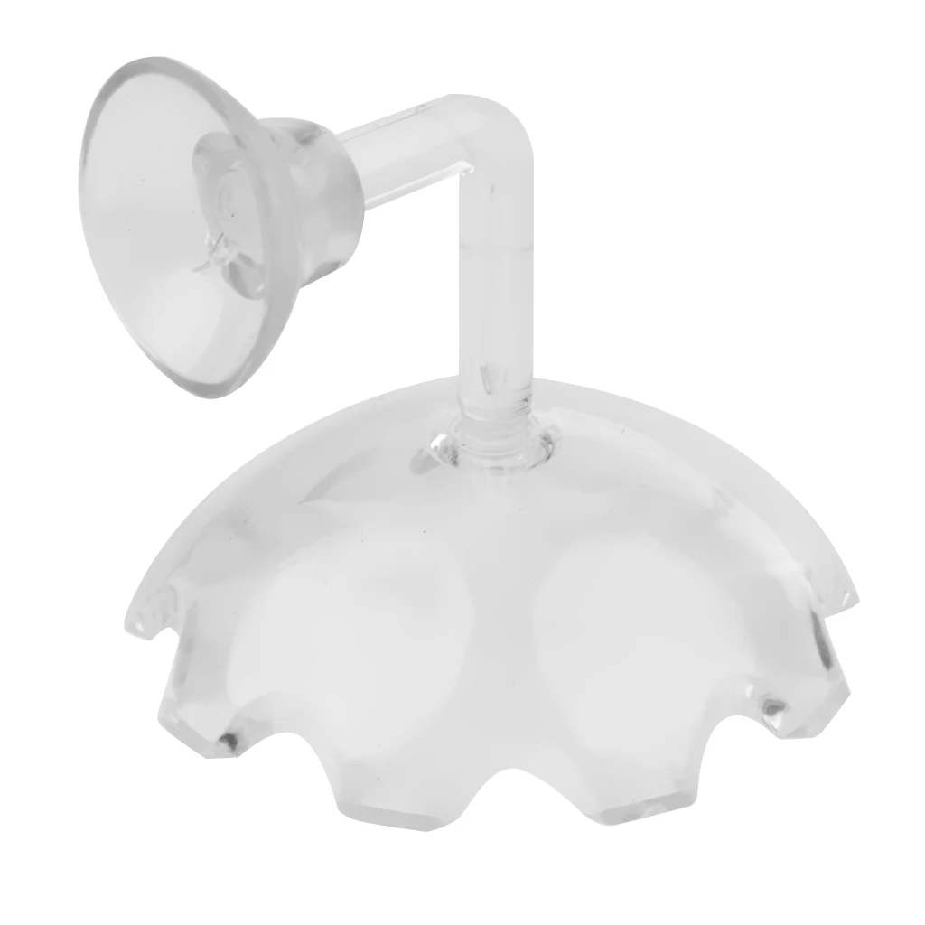 Блюдо для кормления креветок прозрачная фотография тропической рыбы