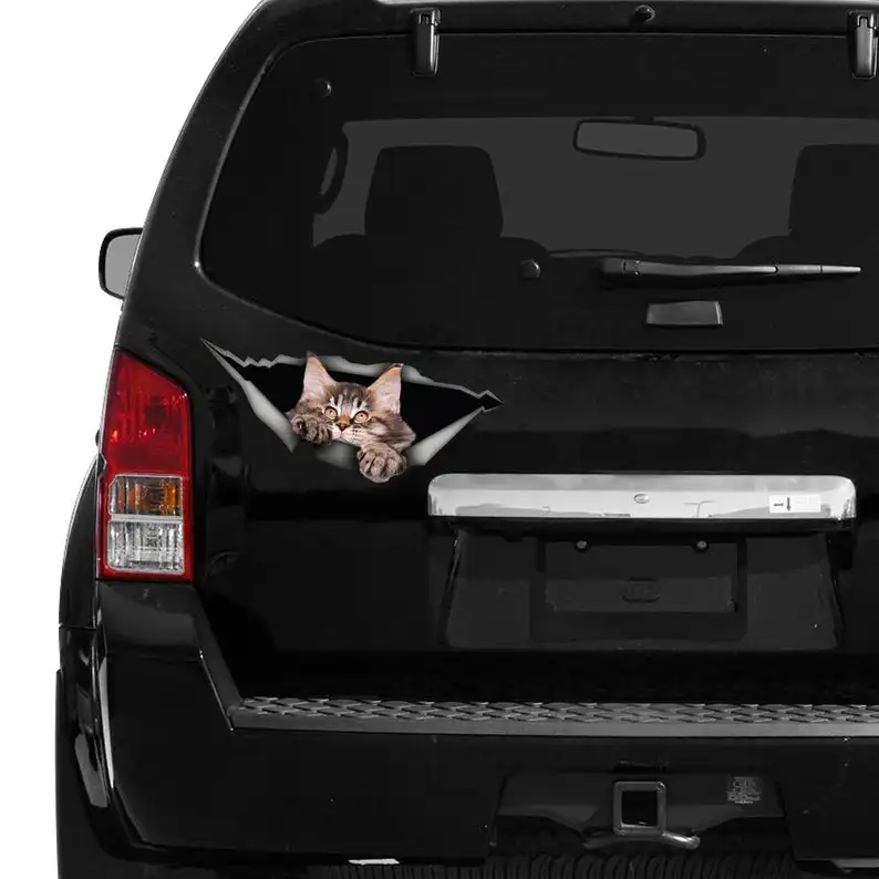 

2021 Kitten car decal, Kitty Maine Coon car decal, funny sticker, Kitten car sticker