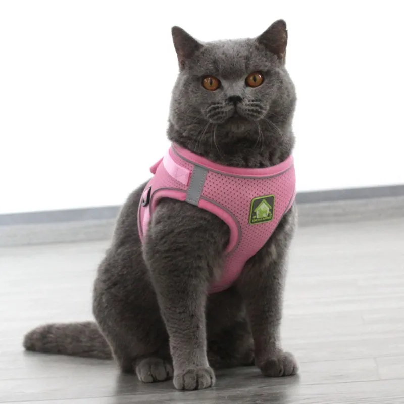 

Поводок для собак ошейники для кошек и собак нагрудный ремень дышащий поводок для собак для кошек и собак нагрудный ремень для дома