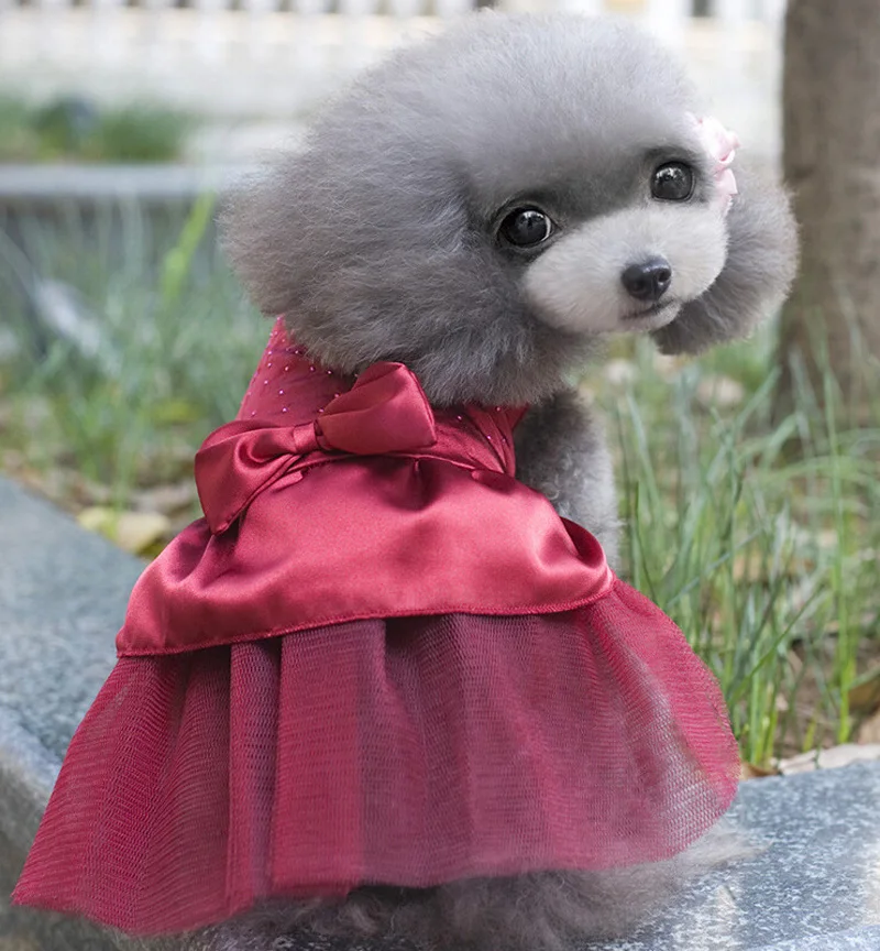 Summer Dog Dress Pet Clothes for Small Wedding Skirt Puppy Clothing Spring Fashion Jean XS-XXL | Дом и сад