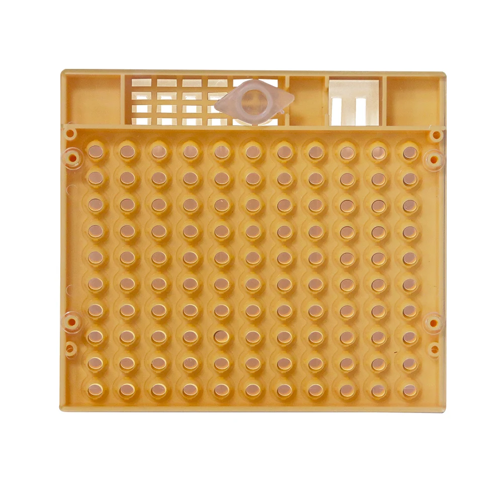 Набор для выращивания пчелиной матки Nicot | Дом и сад