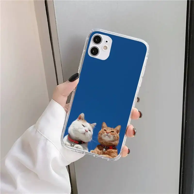 

cute cat Phone Case Transparent for iPhone 11 12 mini pro XS MAX 8 7 6 6S Plus X 5S SE 2020 XR