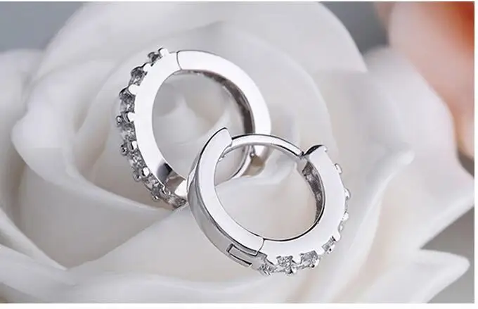 

Sterling Silver Hypoallergenic Earrings Zircon Stud Earring for Women Girl Simple Jewelry