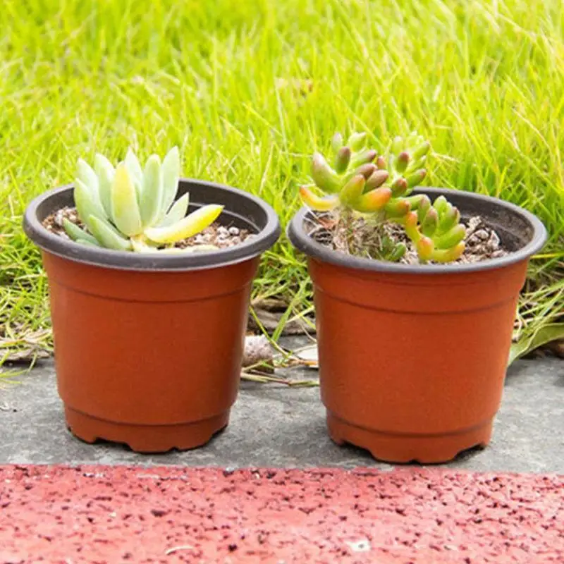 1 шт. Пластик рост коробка защита от ударов при падении кассета для рассады Семья