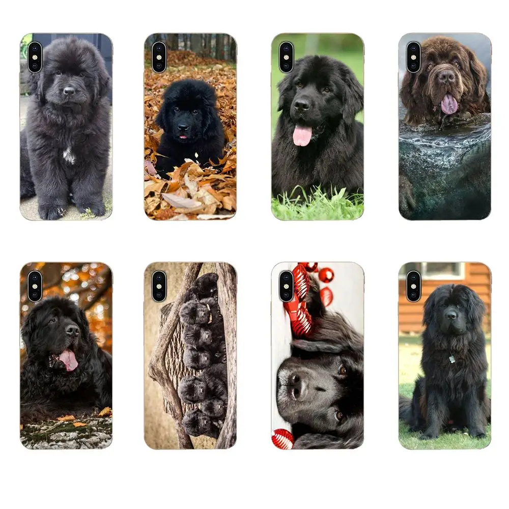 Мягкий чехол из ТПУ с принтом щенка Ньюфаундленда для Galaxy Alpha Note 10 Pro A10 A20 A20E A30 A40 A50