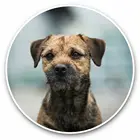 Печатный самоклеющийся наклейки на авто Бордер терьер Собака Щенок Домашнее животное водонепроницаемые наклейки на машину стикер этикеты наклейки стайлинга автомобилей украшения на бампере автомобиля заднее стекло