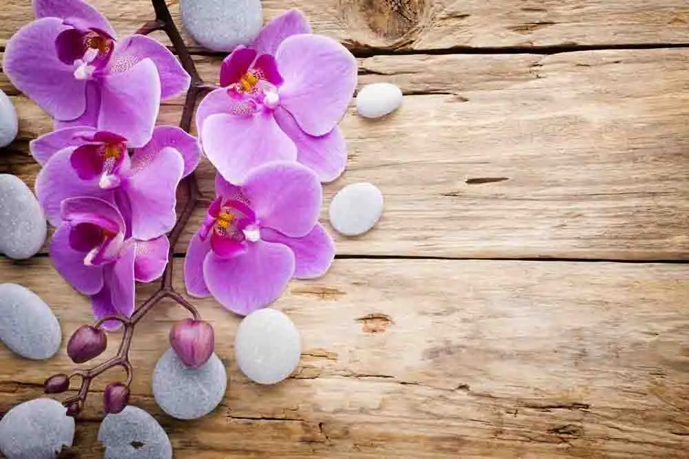 

SHENGYONGBAO Vinyl Custom Photography Backdrops Prop Floral and Wood Planks theme Photo Studio Background XH19912-3111