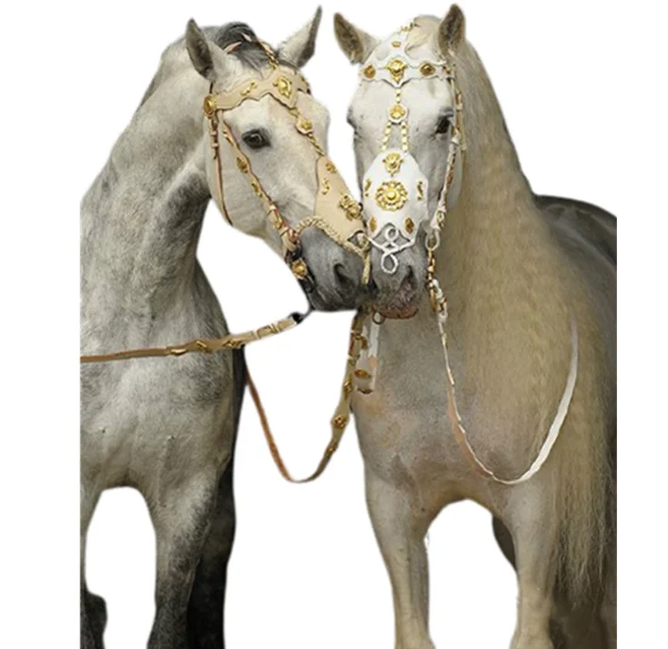 

Equestrian supplies horse bridle outdoor PU traction horse bridle racecourse metal inlaid horse headgear equipment