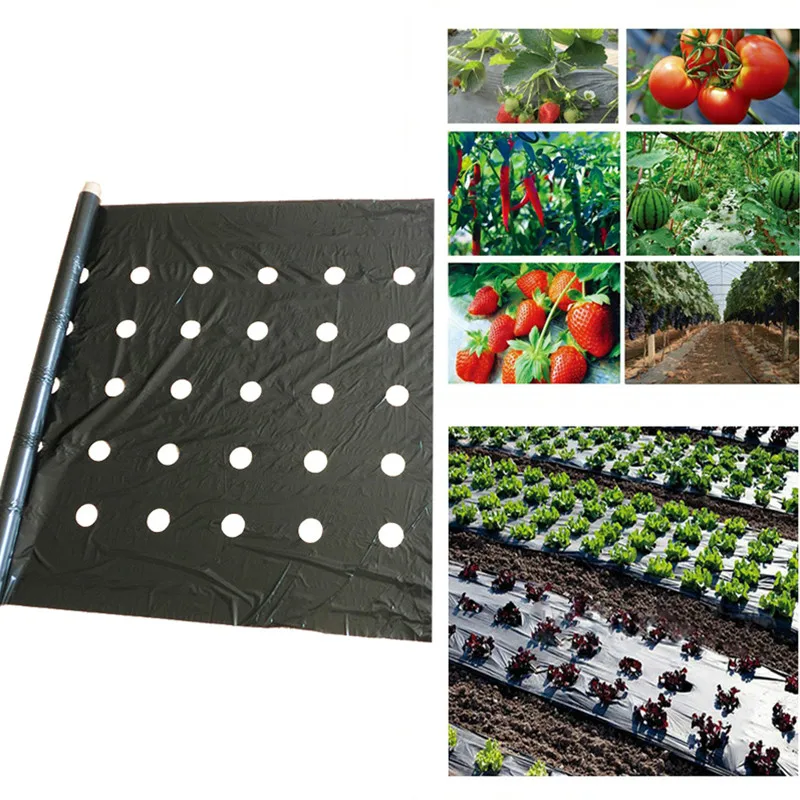 

50m 5Holes Keep Warm Anti Grass Perforated PE Film Black Plastic Mulch Film Agricultural Vegetable Plants Grow Film Greenhouse