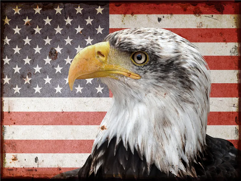 

Металлическая пластина с винтажным рисунком приветственная подпись на домашний декор, украшение для сада, открытый американский флаг, игро...