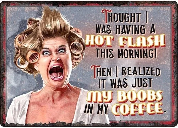 

Tin Sign Thought I Had A Hot Flash Girl This Morning Metal Plate Poster Bar Pub Home Wall Decor Retro Metal Plaque 12*8 Inches