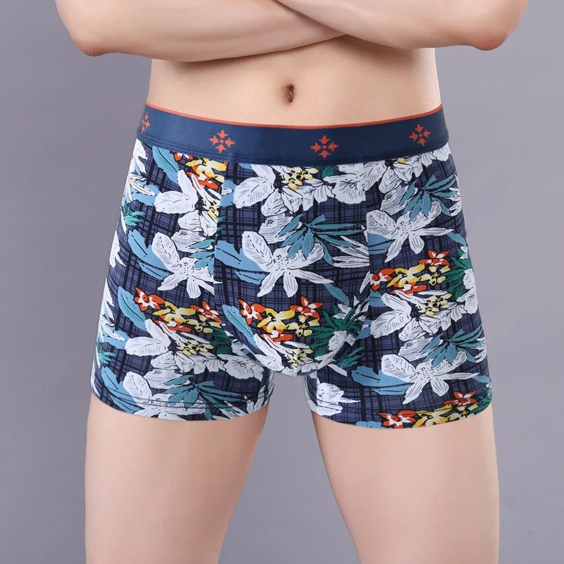 Трусы-боксеры мужские 10X L-3XL 5 шт./лот Plus хлопковые дышащие нижнее белье шорты