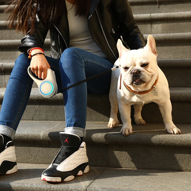 PETKIT pet dog LED retractable Collar Light Leash harness with Lock&Release Mechanism Walking Leash glowing Cat Dog accessories