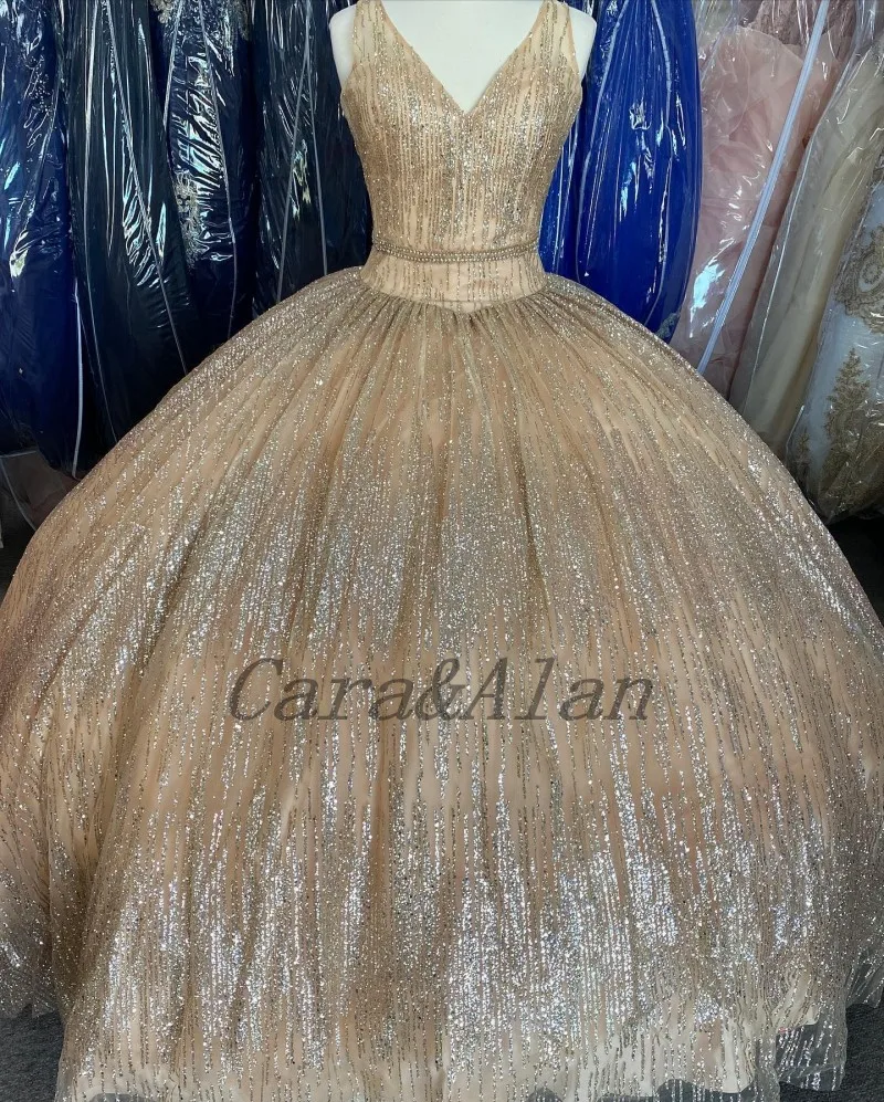 

Cara&Alan Undefined Quinceanera Dresses V Neck Corset Back Sequins Ball Gown Prom Dress Sweet 16 Dress vestidos de 15 años
