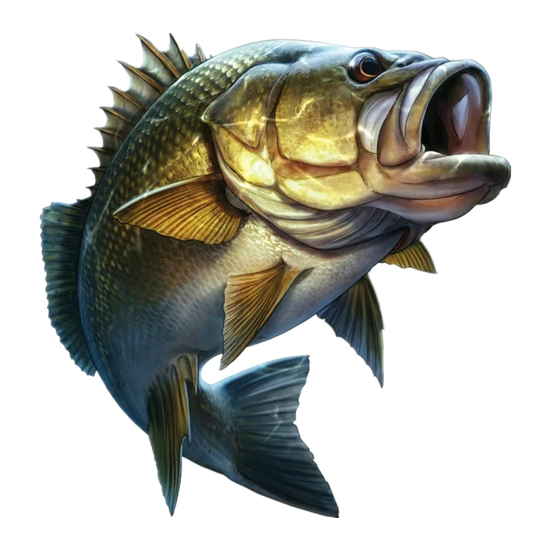

S40505# Self-adhesive Decal Biker Seabass Fish Sticker Waterproof Auto Decors on Bumper Rear Window