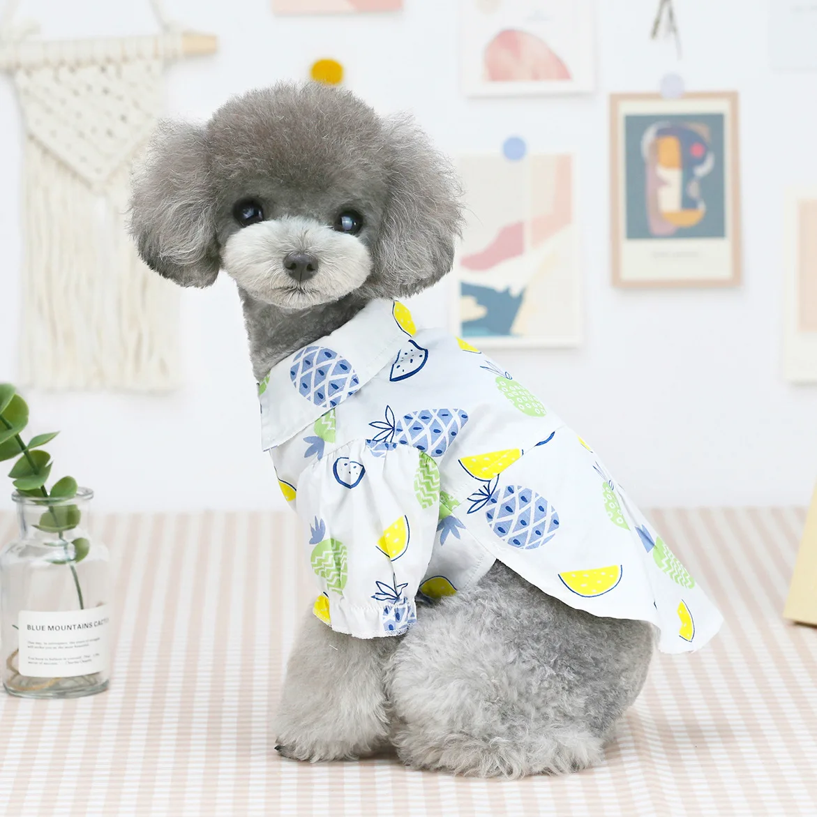 

Pet Dog Clothes for Small Dogs Coat Cartoon Pet Costume Soft Dog Clothing Yorkies Chihuahua Clothes