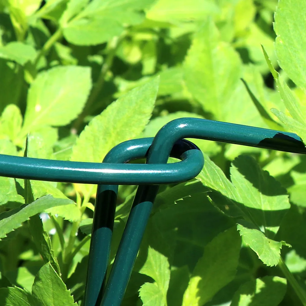 2 шт. садоводства завод держатель с кольцом держателем садовое Растение садовый