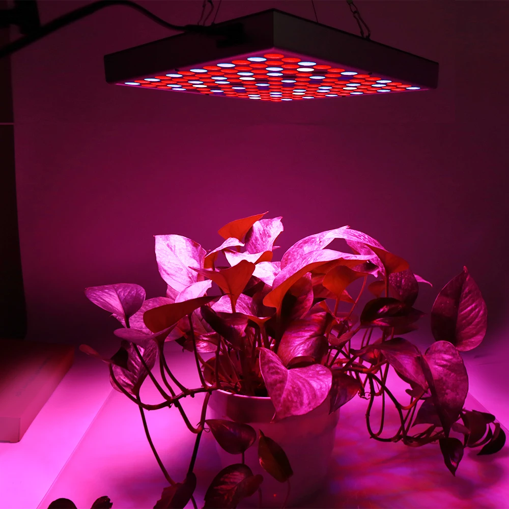 45 Вт светодиодный Grow светильник полный спектр Phytolamp 144 Светодиодный лампа для