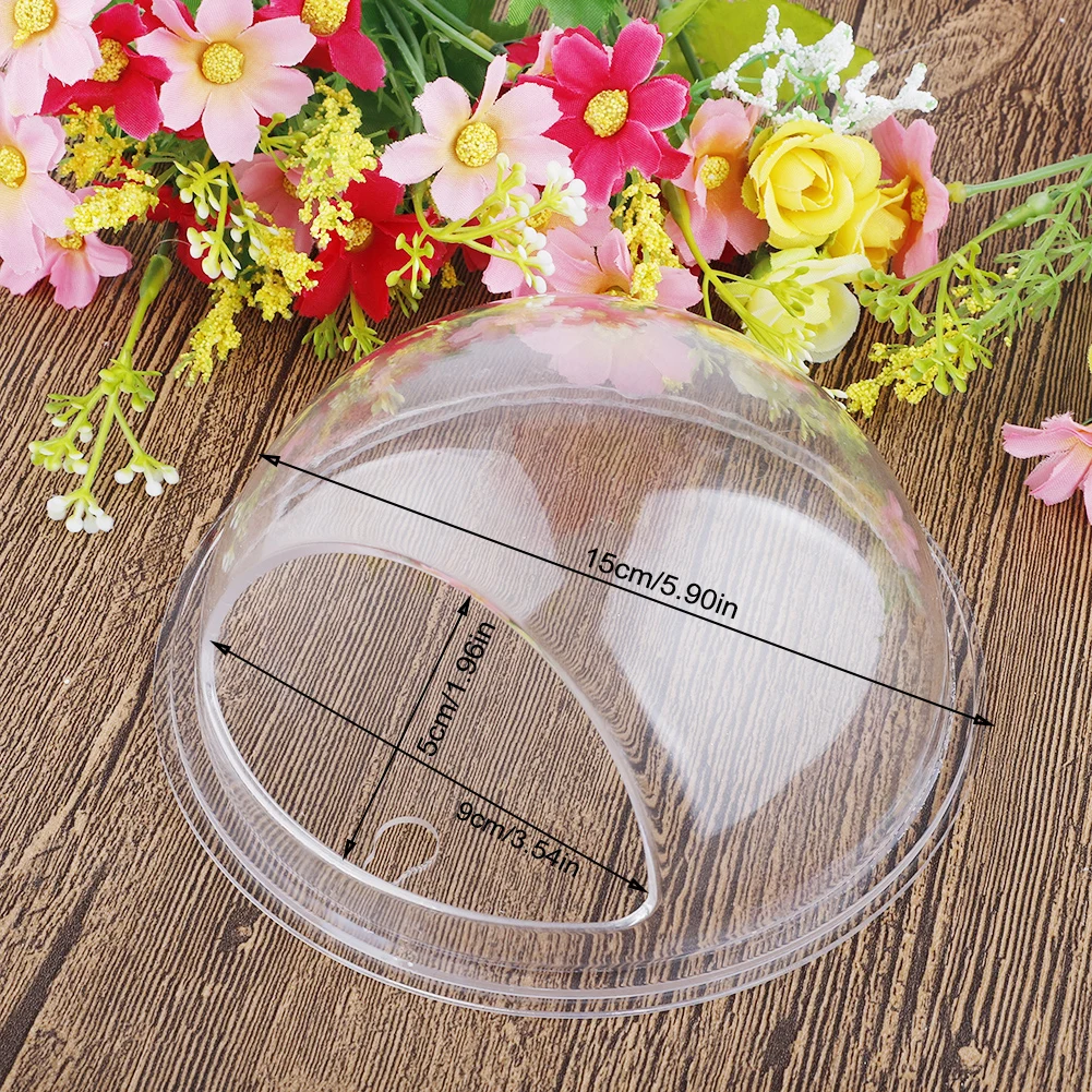 Wall Mounted Fish Tank Home Decoration Transparent Pet Supplies Aquatic Plant Vase Acrylic Hanging | Дом и сад